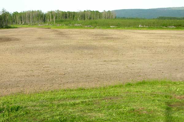 how big is ur farm? - Homesteading Questions