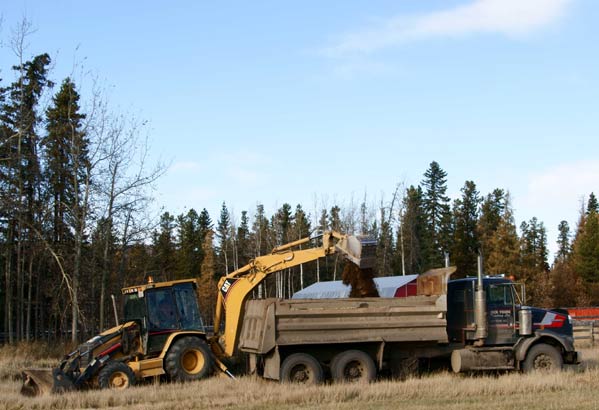 Questions on Various Manures - Homesteading Questions