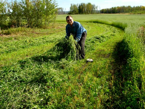 Land Clearing Question - Homesteading Questions