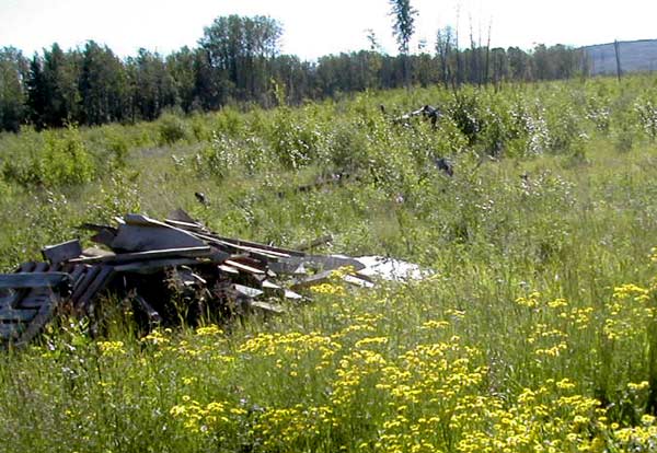 Land Clearing Question - Homesteading Questions