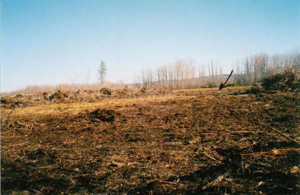 how big is ur farm? - Homesteading Questions