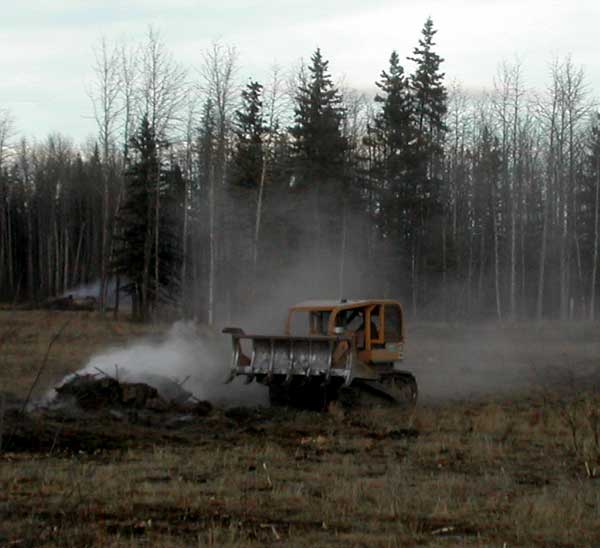 Land Clearing Question - Homesteading Questions