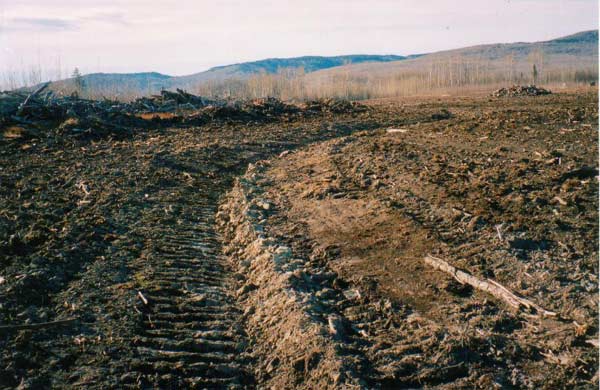 how big is ur farm? - Homesteading Questions