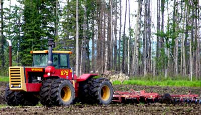 Land Clearing Question - Homesteading Questions