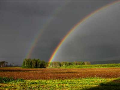 rain - Homesteading Questions