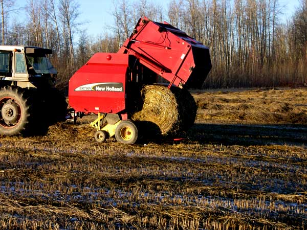 Where do you live? (photos) - Homesteading Questions