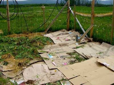 Advice on preparing a new garden plot... in the spring - Homesteading Questions