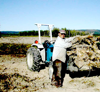 Land Clearing Question - Homesteading Questions