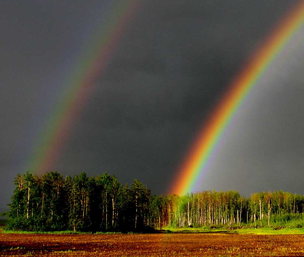 Pictures - Homesteading Questions