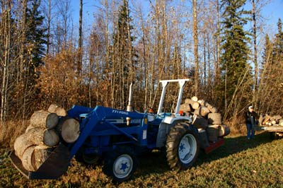 BUY firewood or CUT firewood? - Homesteading Questions