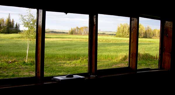 How did you find your homestead? - Homesteading Questions