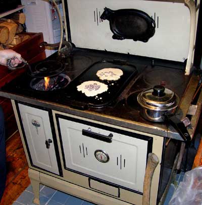 gas, electric, wood..? - Homesteading Questions